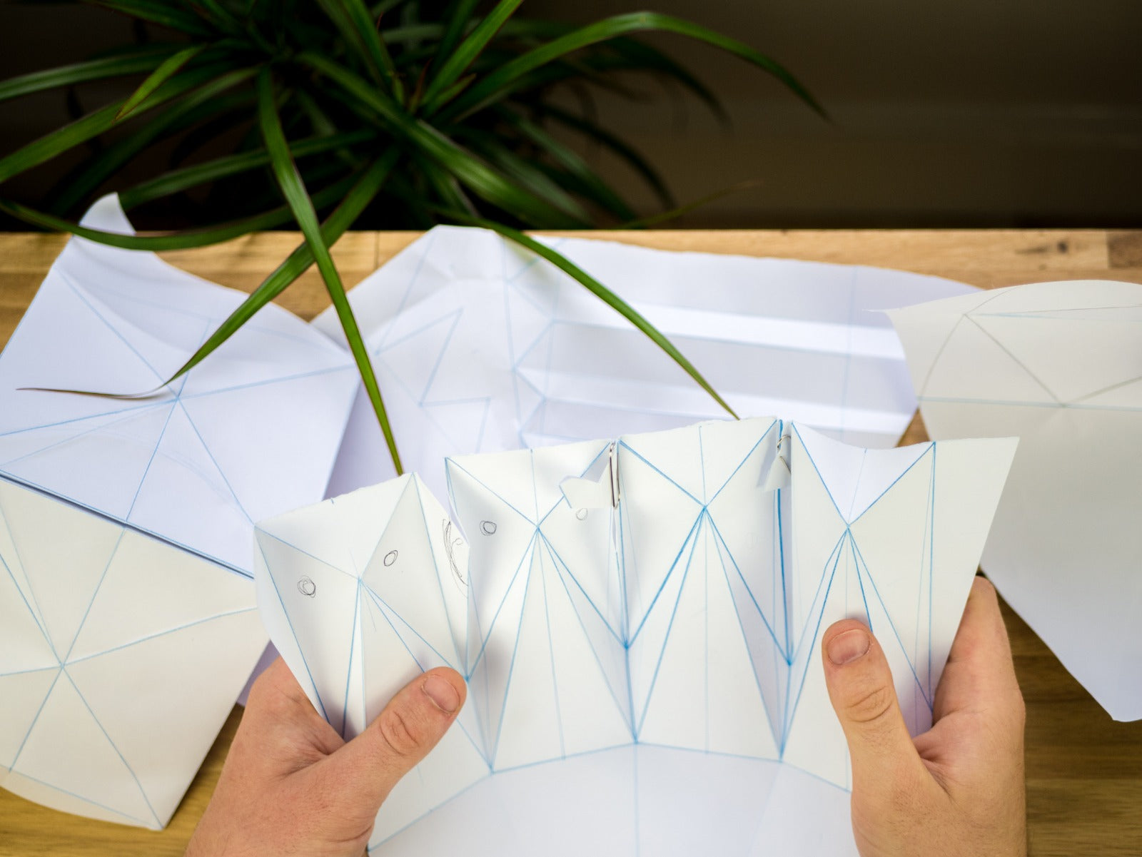 Prototype POTR Pot being folded into a self-watering plant pot