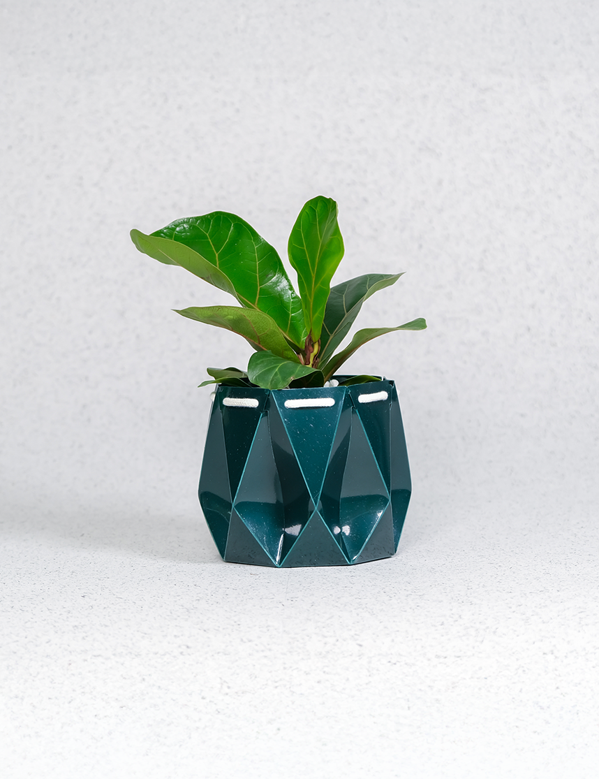 Self watering Ocean Plant Pot with green leaves, featuring origami design and self-watering function.