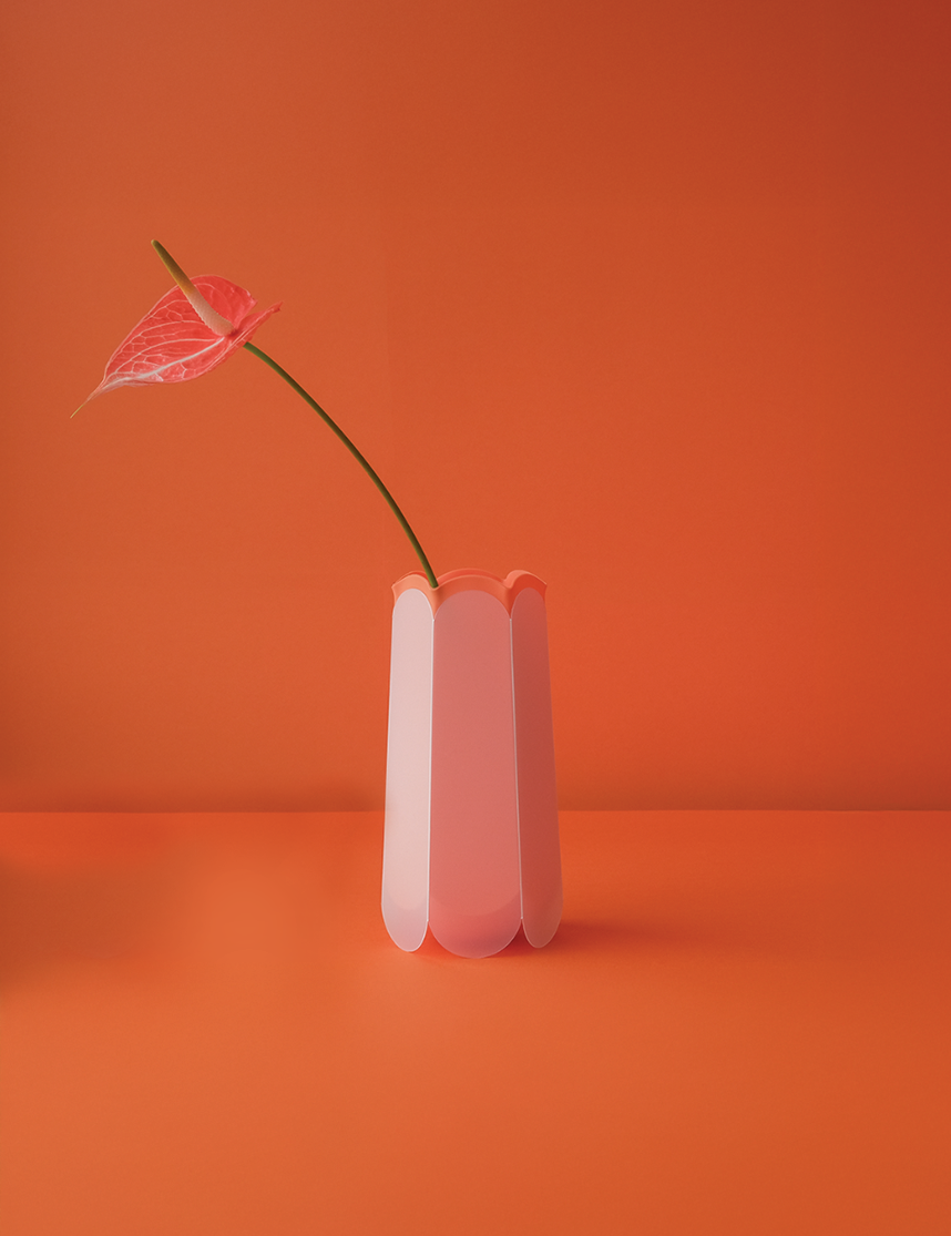 POTR Letterbox vase featuring stylish pink design with a flower, set against a vibrant orange background.