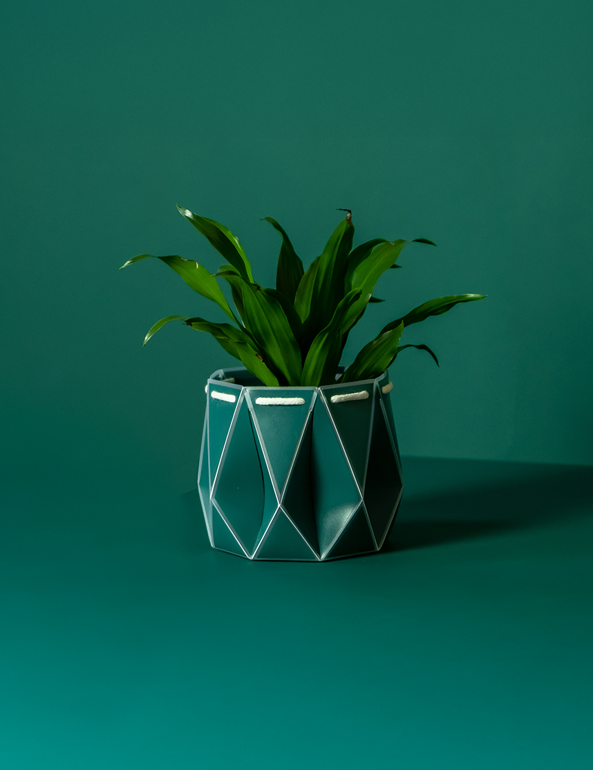 Self watering POTR Pot with green plant on teal background, showcasing modern flat-pack design.