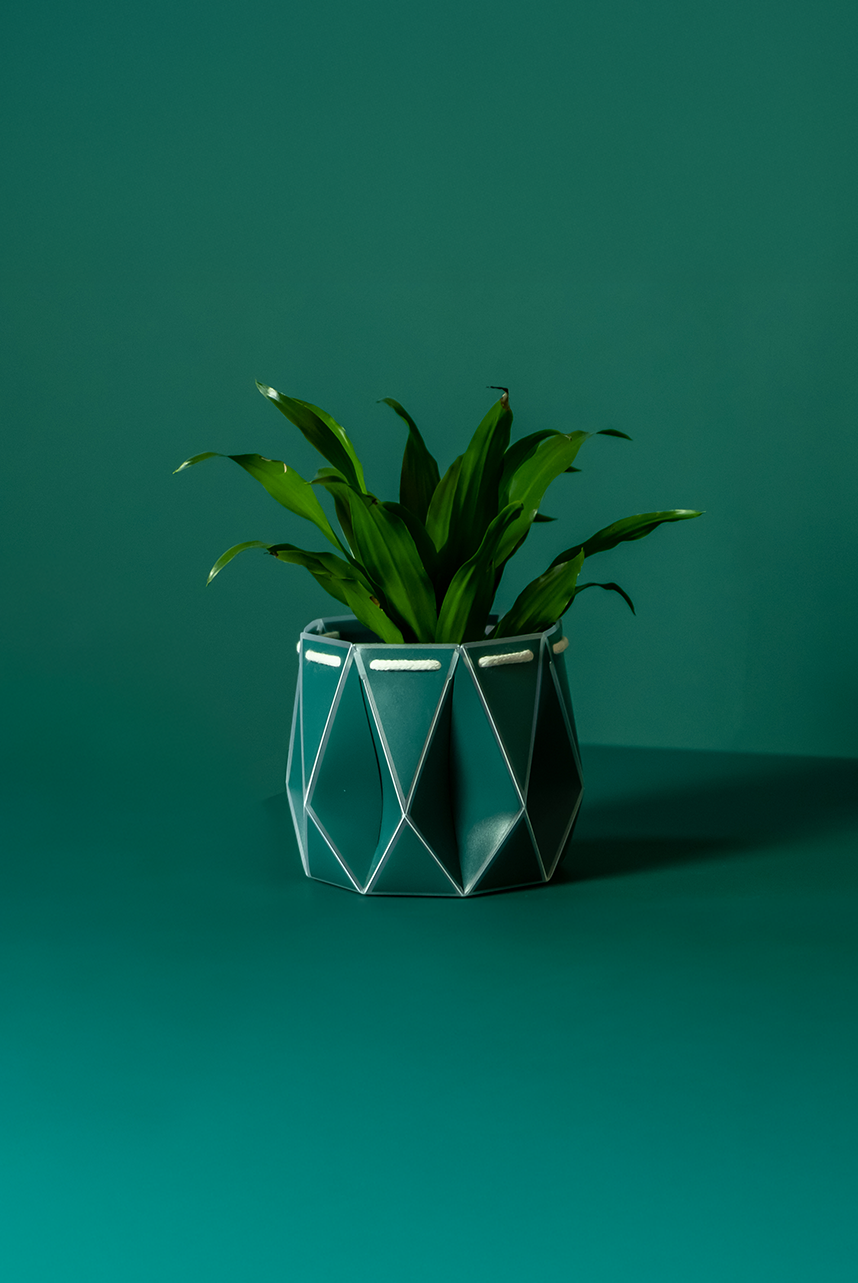 Self watering POTR Pot with green plant on teal background, showcasing modern flat-pack design.