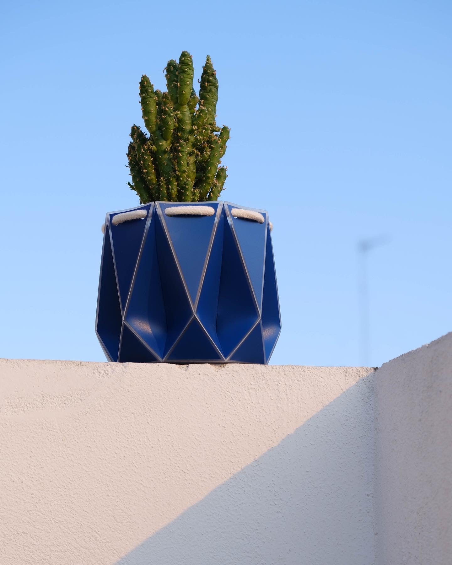 Blue pot with a cactus on a beige surface against a clear blue sky