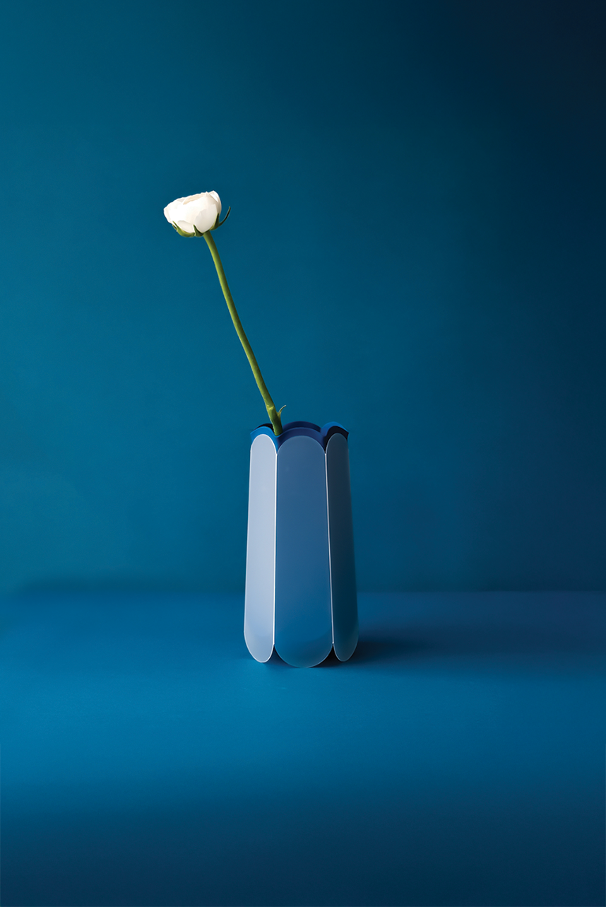 POTR Letterbox vase with a single white rose on a blue background, designed for efficient letterbox delivery.