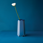 POTR Letterbox vase with a single white rose on a blue background, designed for efficient letterbox delivery.