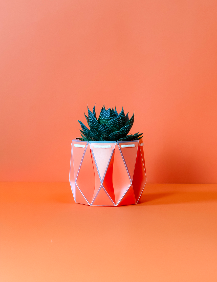 Self watering POTR Pot with succulent on orange background