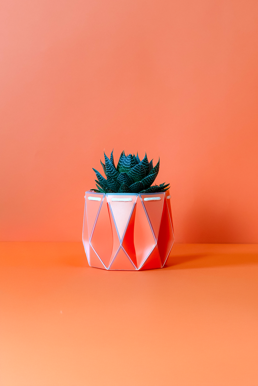 Self watering POTR Pot with succulent on orange background