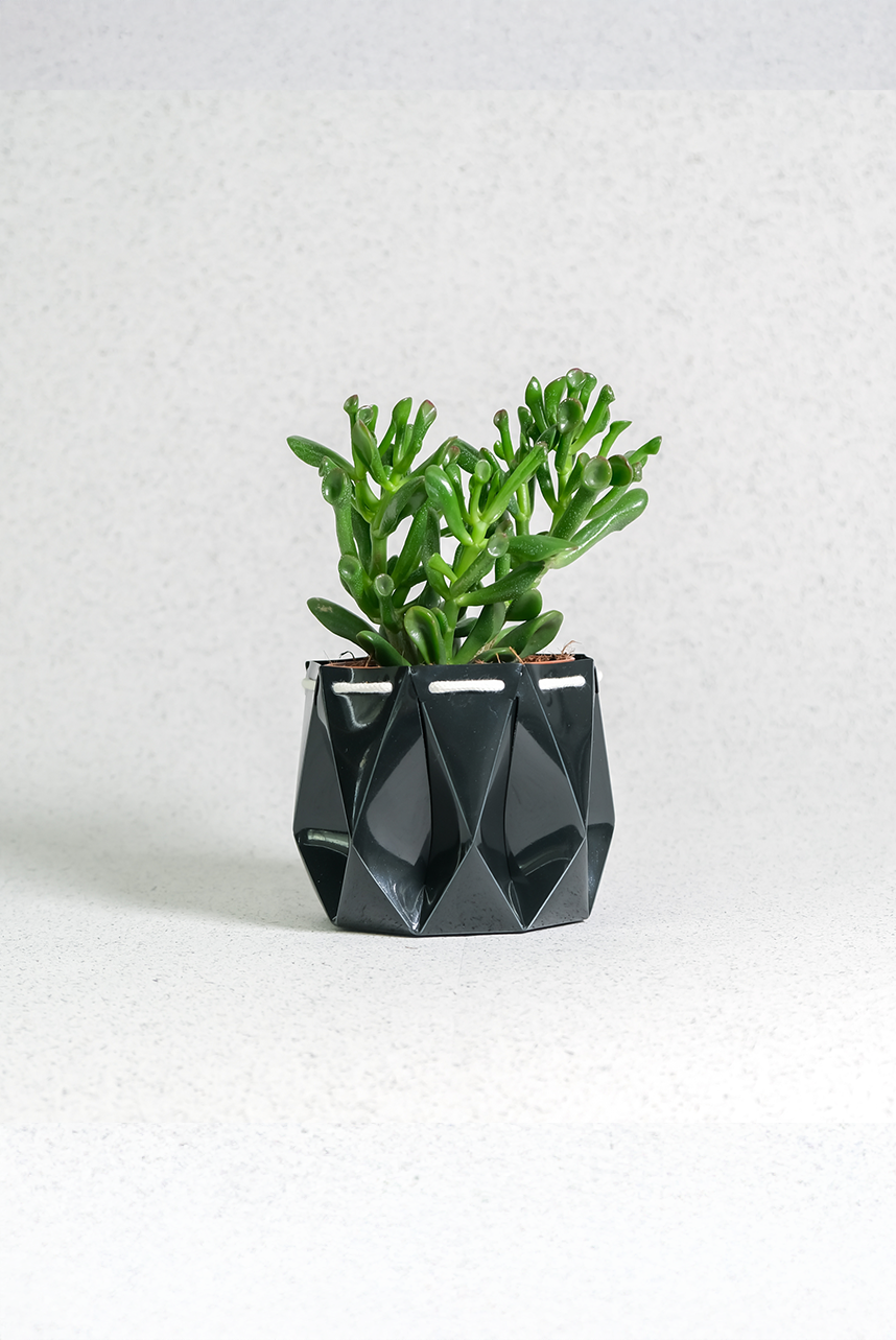 Self watering Ocean Plant Pot featuring a sleek origami design, perfect for self-watering succulents.