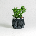 Self watering Ocean Plant Pot featuring a sleek origami design, perfect for self-watering succulents.