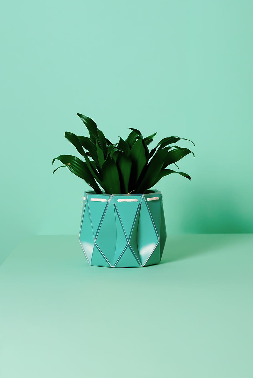 Self watering POTR Pot in turquoise with plant, ideal for self-watering gardening solutions.