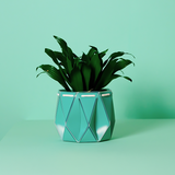 Self watering POTR Pot in turquoise with plant, ideal for self-watering gardening solutions.