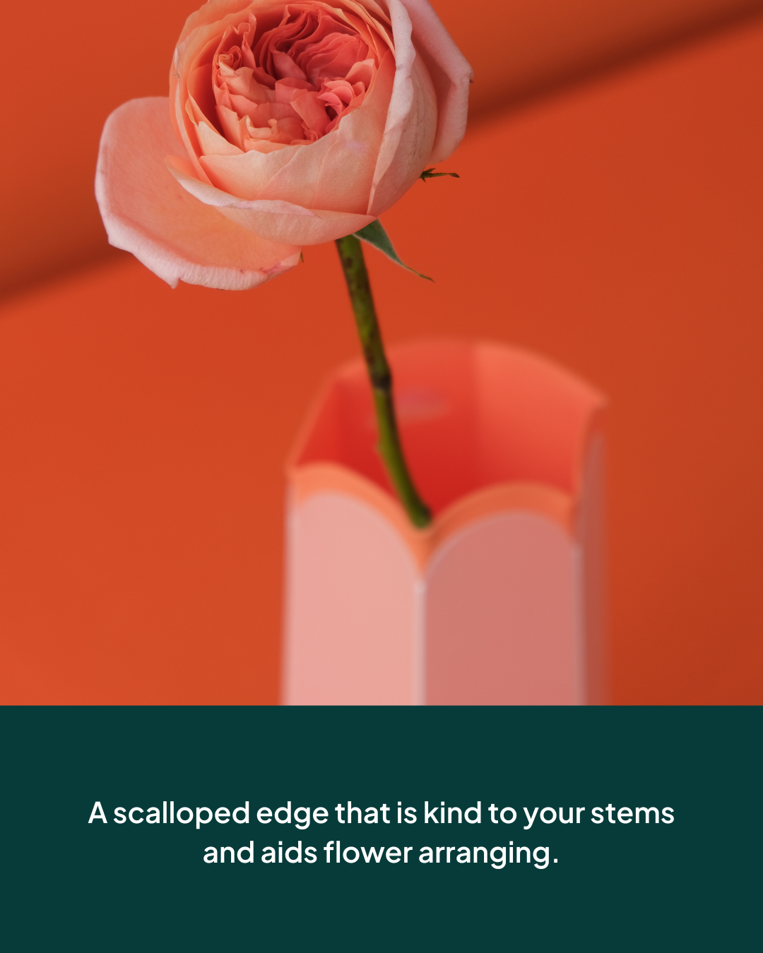 POTR Letterbox vase with a rose showcasing a scalloped edge for easy flower arranging.