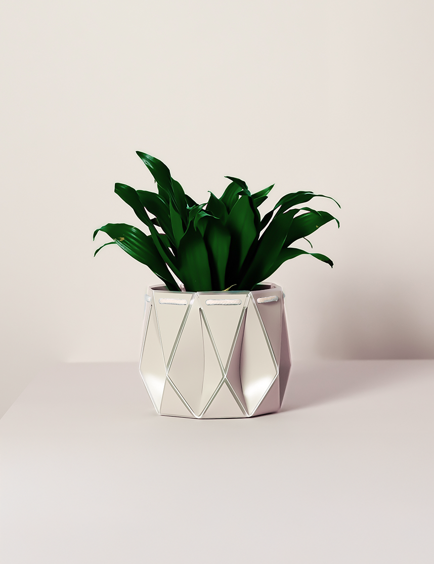 Self watering POTR Pot with vibrant green plant, showcasing modern design for efficient plant care.