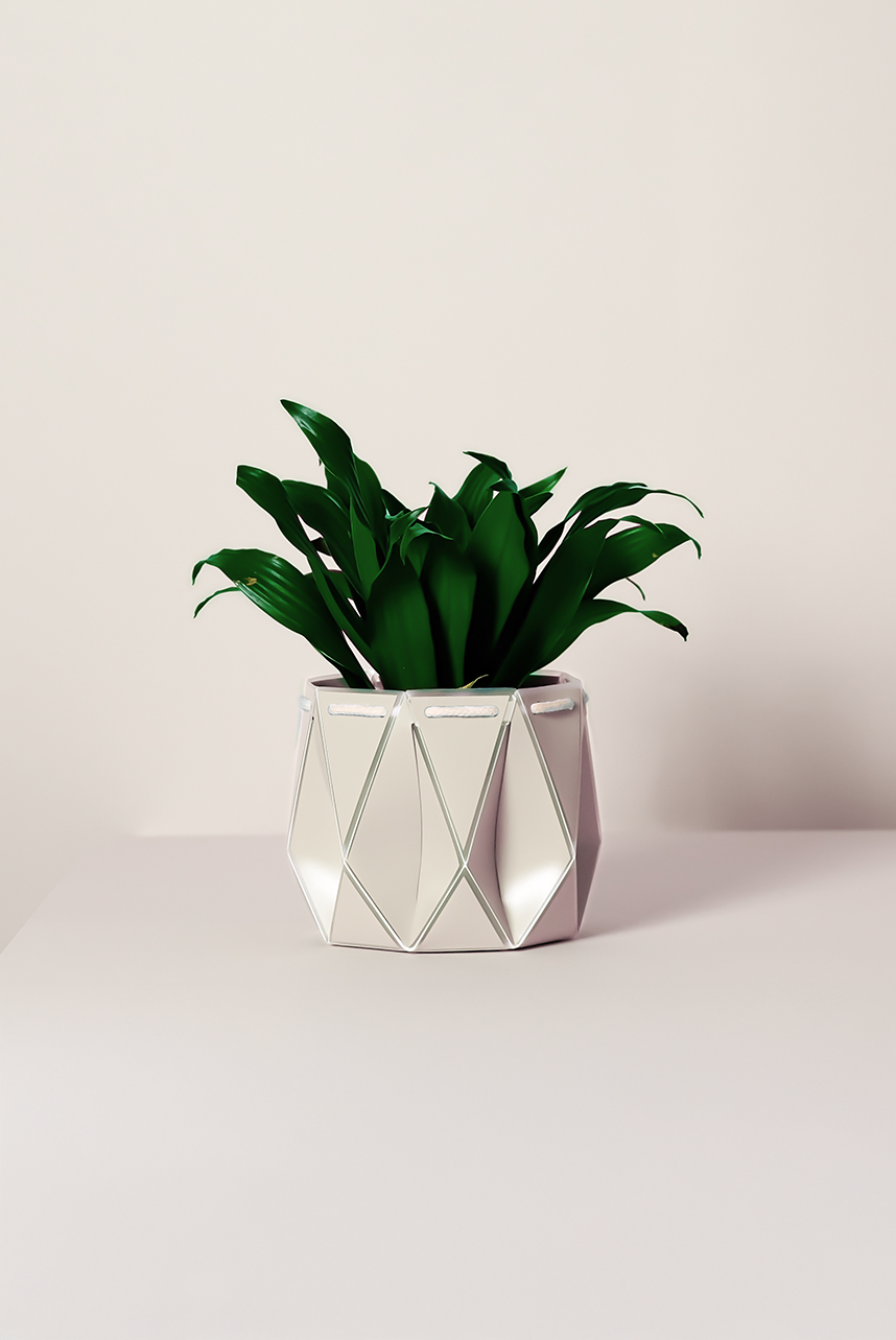 Self watering POTR Pot with vibrant green plant, showcasing modern design for efficient plant care.