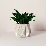 Self watering POTR Pot with vibrant green plant, showcasing modern design for efficient plant care.