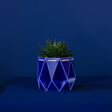Self watering POTR Pot displaying a stylish blue planter with a succulent on a blue background.