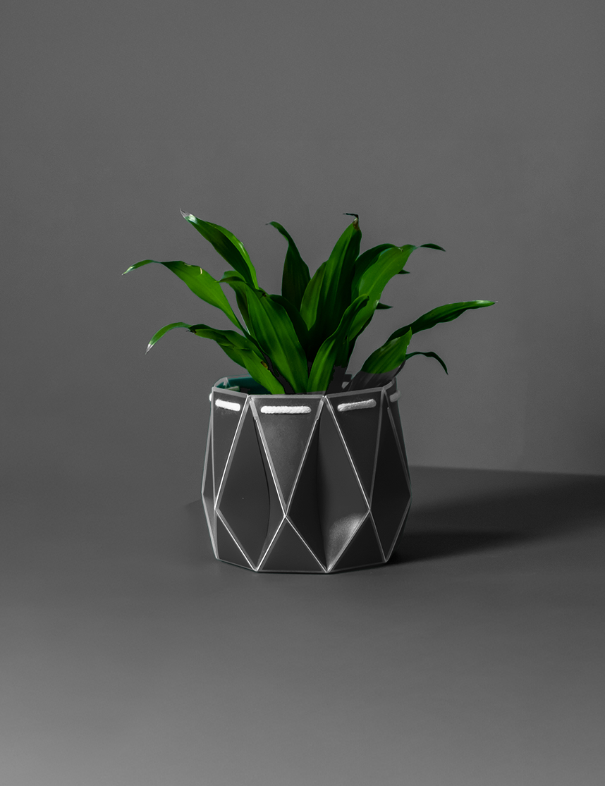 Self watering POTR Pot