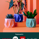Self watering POTR Pot