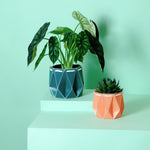 11cm + 15cm Self-watering Plant Pot Gift Duo displayed with plants on a mint green background.