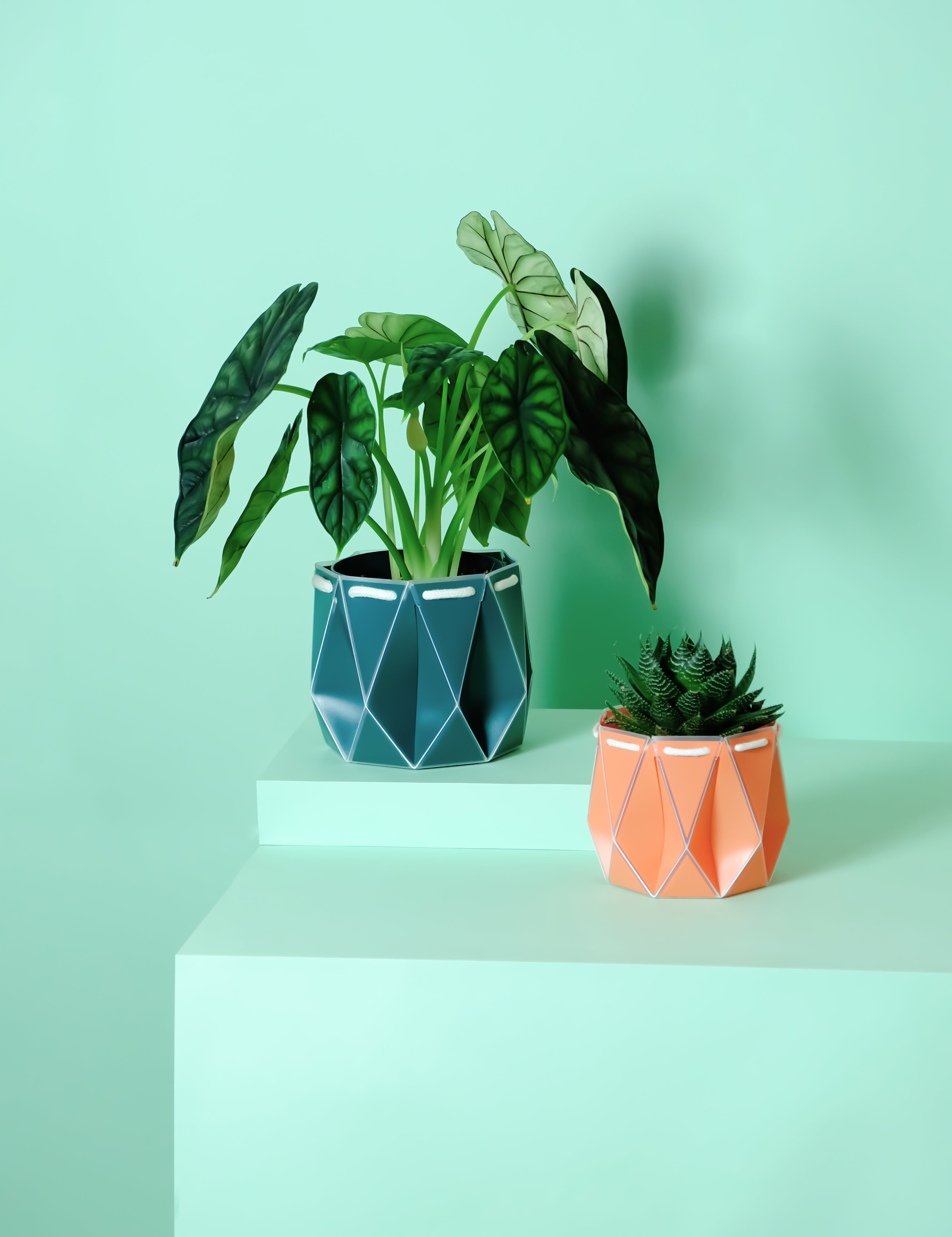 11cm + 15cm Self-watering Plant Pot Gift Duo displayed with plants on a mint green background.
