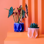 15cm + 18cm Self-watering plant pot gift duo in origami inspired design with colorful plants.