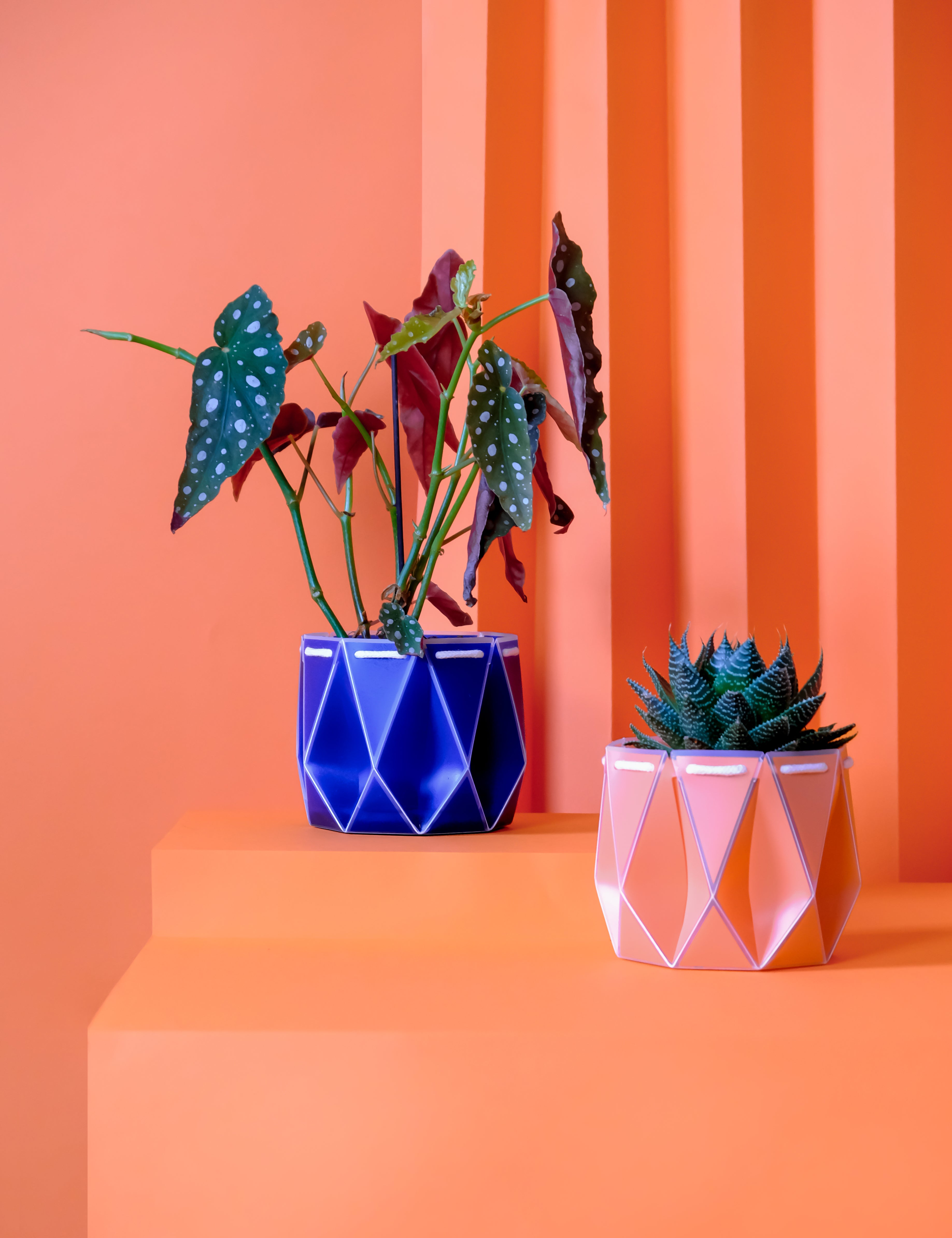 15cm + 18cm Self-watering plant pot gift duo in origami inspired design with colorful plants.