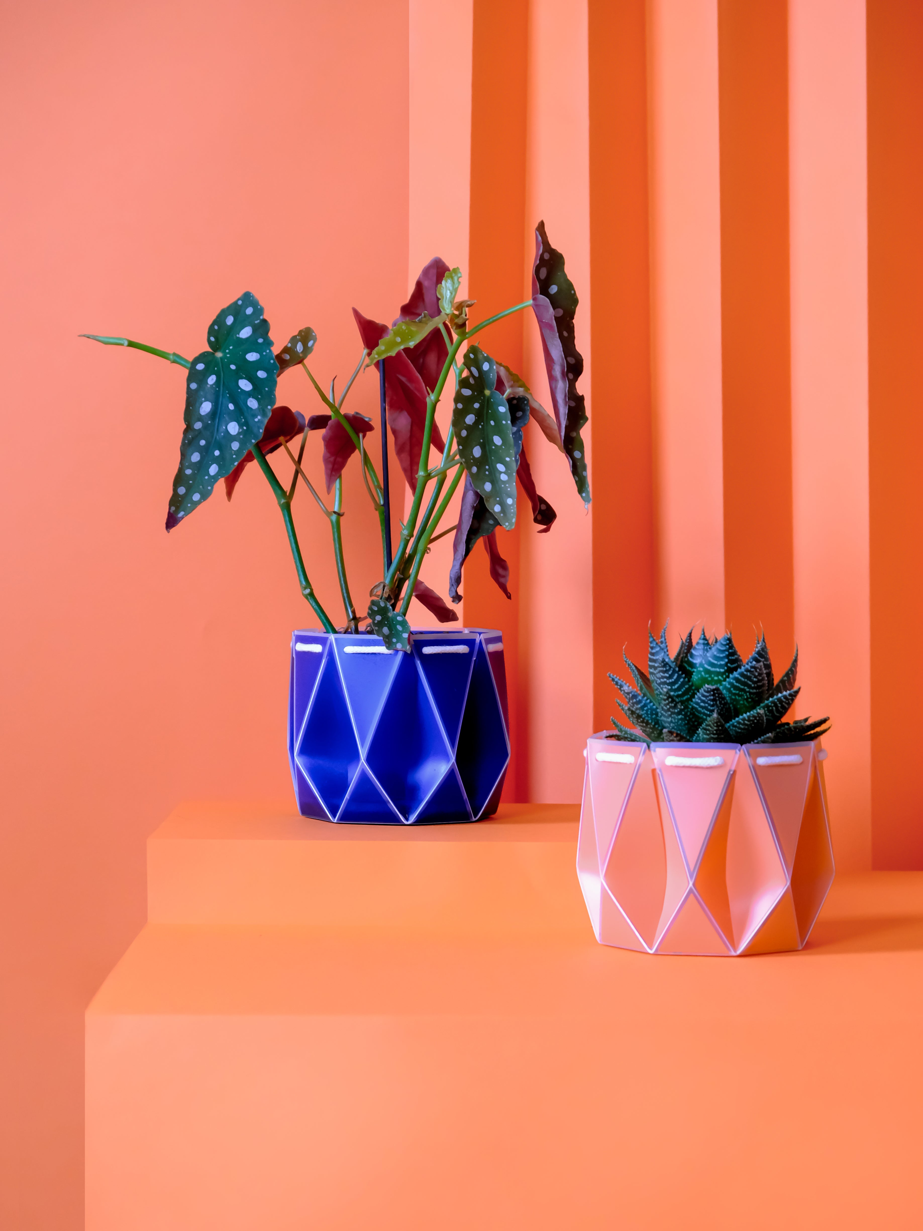 15cm + 18cm Self-watering plant pot gift duo in origami inspired design with colorful plants.